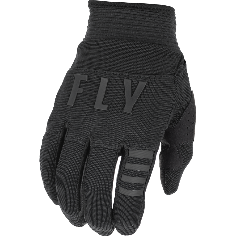 Fly Racing 2022 F-16 Gloves